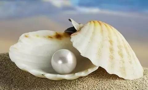 蓝色珍珠是什么样子,蓝色海洋珍珠怎么样