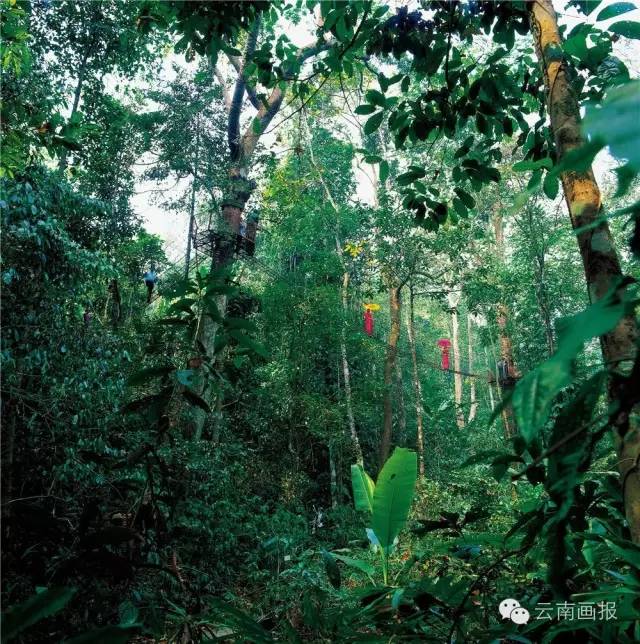 云南省什么地方风景区最好,云南生态环境最好的地方