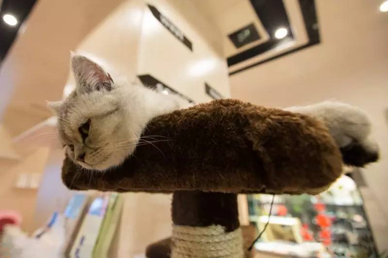 南京春天适合孩子玩的地方,南京情侣适合玩的地方旅游攻略