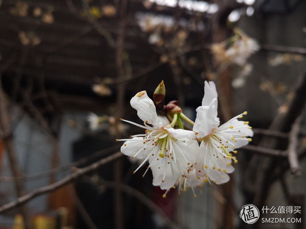 美图t8最新款,美图t8天蓝