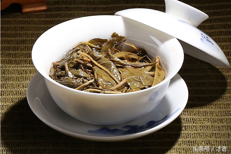 菊花决明子茶适合什么季节喝好,菊花决明子茶什么季节喝比较合适