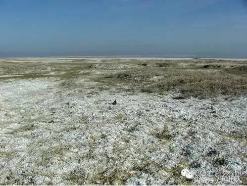 拿什么拯救你的成绩,拿什么拯救废了的你