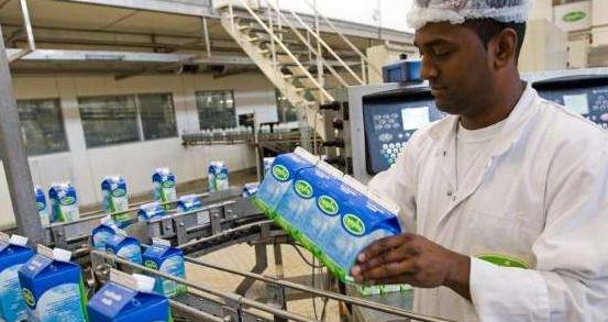 荷兰的大公司有哪些,荷兰有哪些国际大公司