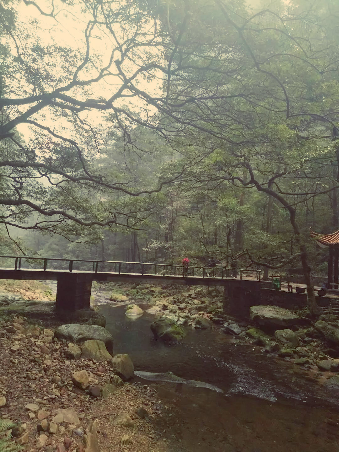 老人湖南旅游攻略,湘西旅游攻略中老年游玩