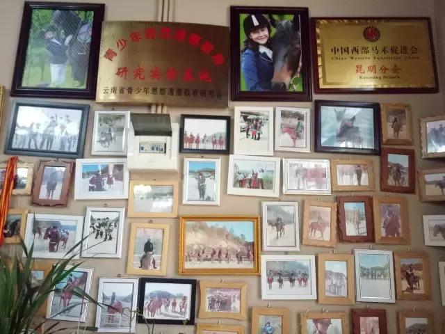 昆明二龙湖御龙马术俱乐部,贵阳市马术俱乐部