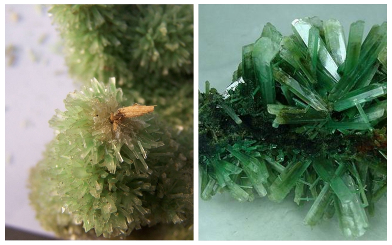 2018年315晚会玉石打假,315玉石打假的产品名单