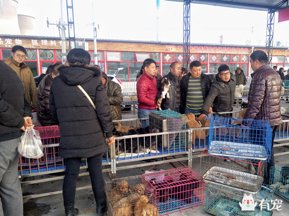 鐙楀競鎺㈣ (鎺㈣鐙楀競)