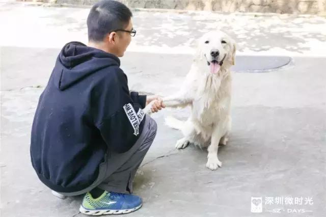 我们一起走遍深圳,深圳青旅