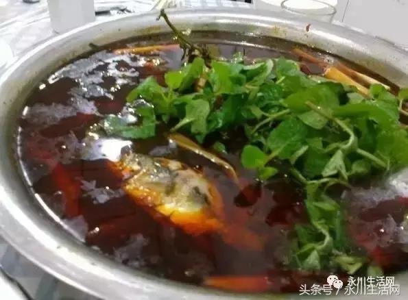 永川哪里鱼好吃又实惠,永川十大必吃鱼馆