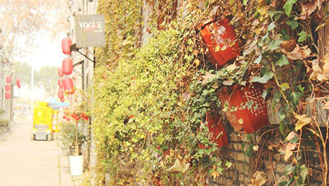 10年淘宝经验,10年淘宝购物