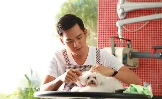 《爱神》千万次的错过只为一次的相认