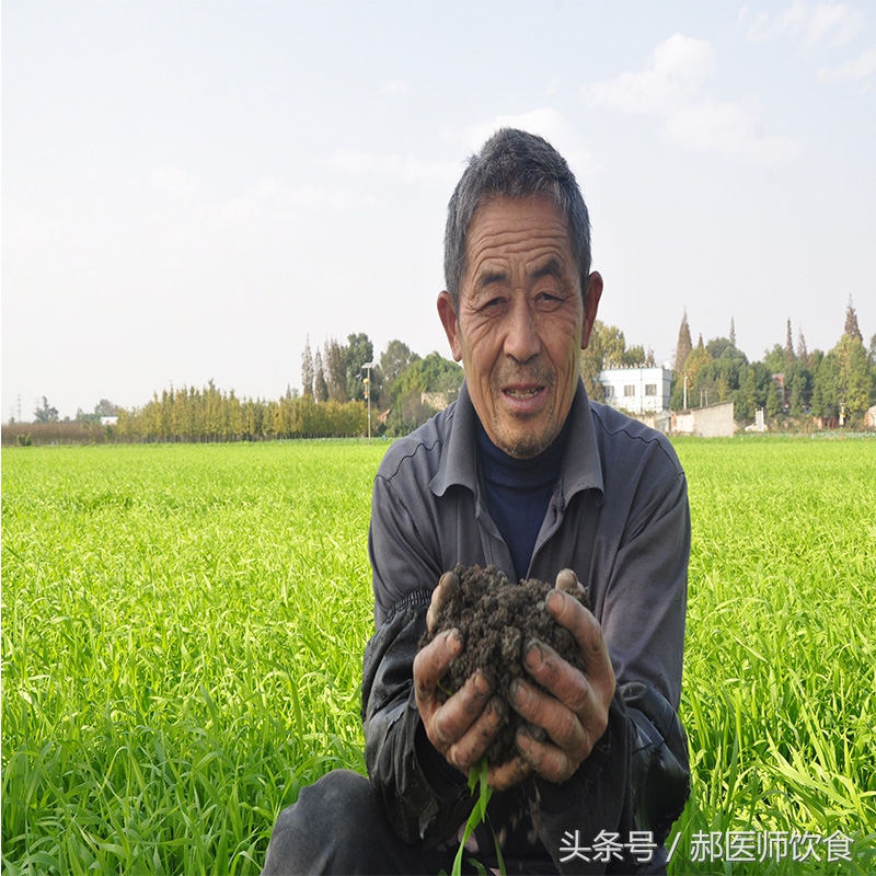 青汁值得购买吗,315曝光的青汁