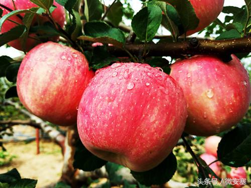 突破困局砥砺前行,转型升级实现新突破