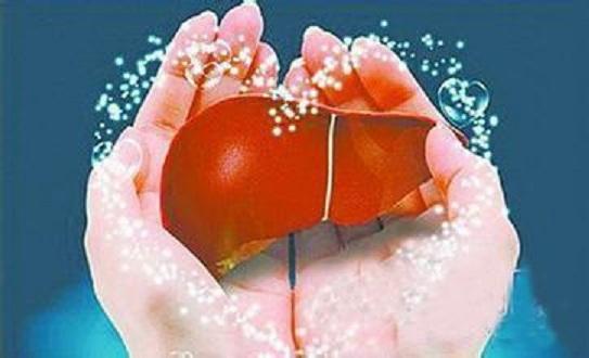 索非布韦注意事项,索非布韦如何鉴别