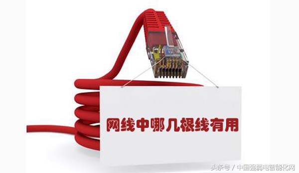 8芯网线中每根线起什么作用,8芯网线连多少根能上网