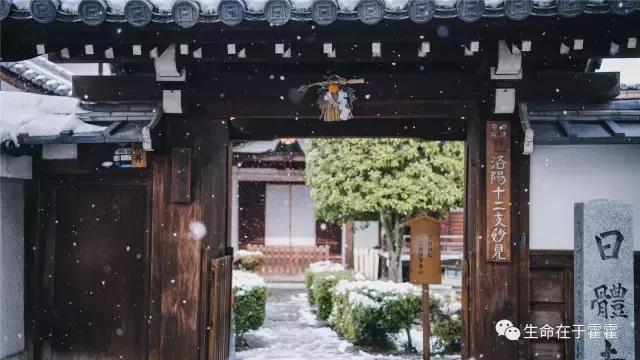 拉面 · 自动贩售机 · 雪｜云之彼岸的日本欢脱之旅