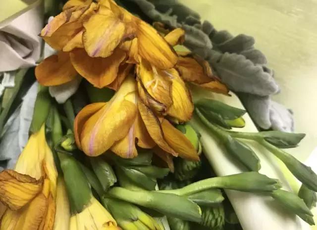 成都鲜花包月99每月4次,花费上万测评1个月