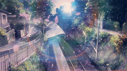 樱花季攻略,樱花季攻略赤丸