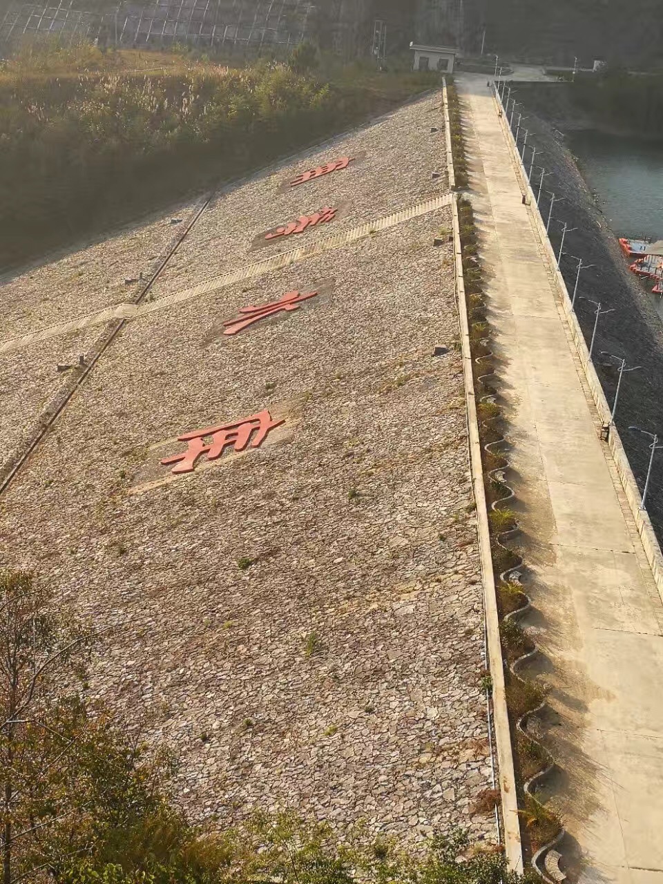 普洱茶冰岛有什么特点和口感,喝真正的冰岛普洱