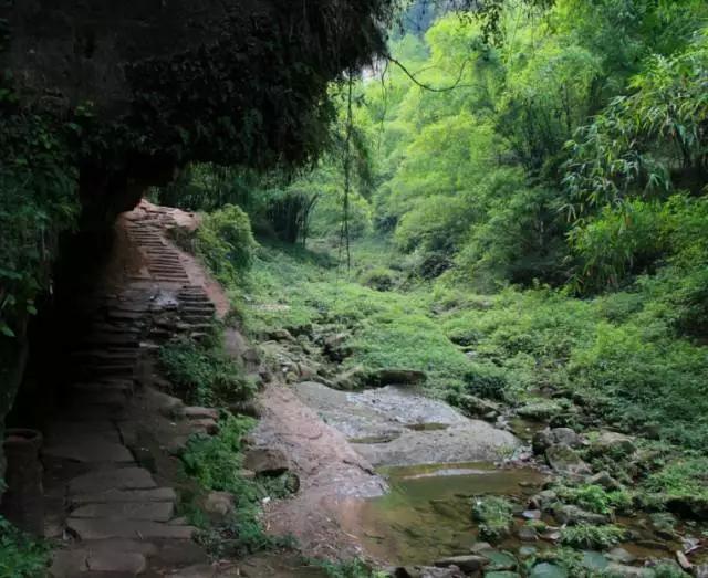成都周边踏青二日游自驾游,春节成都看花好玩的地方推荐