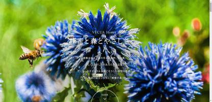 小众高颜值美妆品牌推荐女士用的,8款外国妹子疯抢的小众美妆品