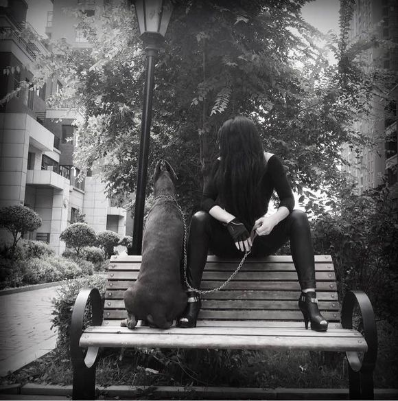 沈阳美女手签德系杜宾，称全家都是杜宾犬铁粉