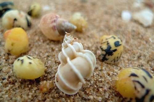 婚礼回礼哪些礼品最好,婚礼回礼礼物送什么