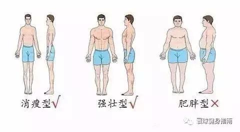 增肌前喝增肌粉还是增肌后喝好,健身增肌该如何喝增肌粉