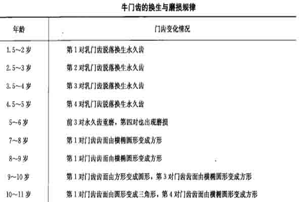 看牙口怎样辨别牛的年龄,怎样根据牛的牙齿判断年龄
