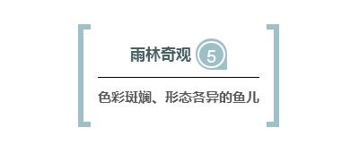 杭州极地海洋游玩图,杭州极地海洋世界旅游攻略