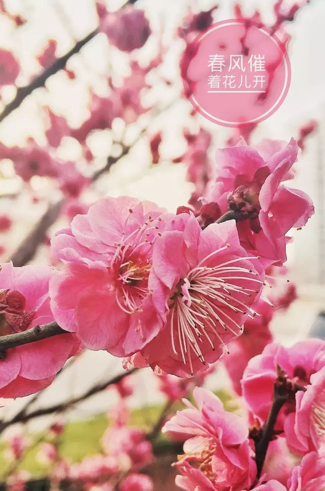 <html>
<head><title>502BadGateway</title></head>
<body>
<center><h1>502BadGateway</h1></center>
<hr><center>nginx</center>
</body>
</html>
<!--apaddingtodisableMSIEandChromefriendlyerrorpage-->
<!--apaddingtodisableMSIEandChromefriendlyerrorpage-->
<!--apaddingtodisableMSIEandChromefriendlyerrorpage-->
<!--apaddingtodisableMSIEandChromefriendlyerrorpage-->
<!--apaddingtodisableMSIEandChromefriendlyerrorpage-->
<!--apaddingtodisableMSIEandChromefriendlyerrorpage-->
