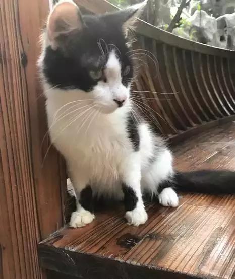 适合冬天一起泡的温泉,一起泡温泉的奢侈享受