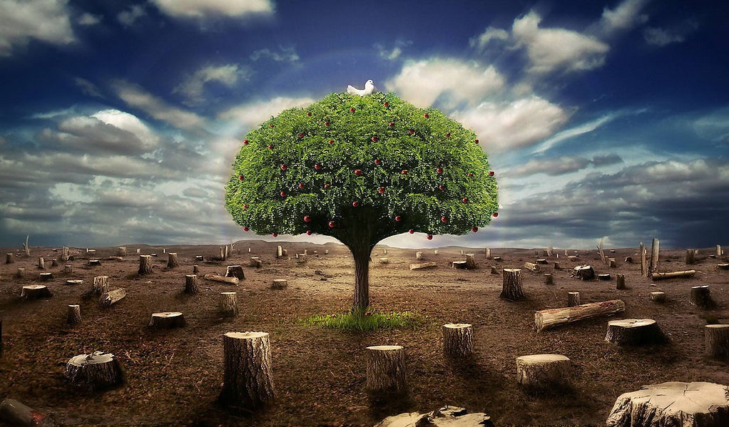 在利益面前人心多可怕,在利益面前应不应该以恶制恶