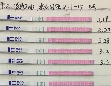 经历了四个备孕周期，成功升级！