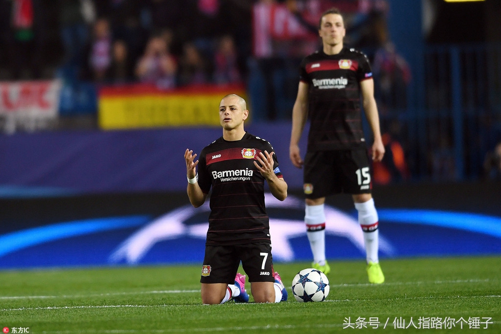 仙人指路股票指标,仙人指路最新推荐