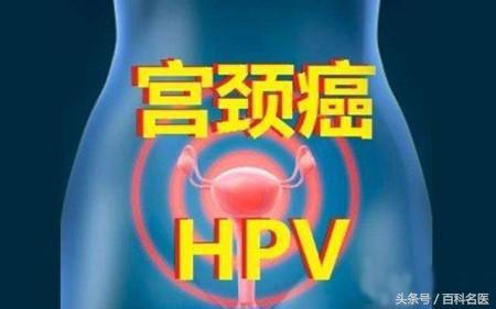 人乳头瘤病毒为何如此猖狂？与宫颈癌、尖锐湿疣等有怎样的纠葛？