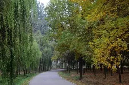 定个小目标100天,定个小目标完整版