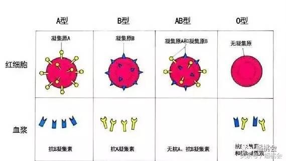 最早能测出来的试纸是哪种,新试纸检测原理