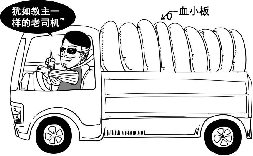 种草莓的几个基本步骤,怎么种草莓才最安全