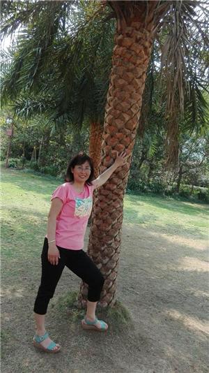 三亚适合同学去的地方 (高中毕业之旅三亚)