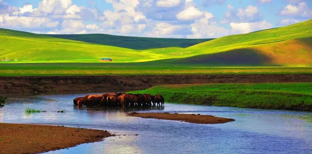 呼伦贝尔旅游攻略注意事项 (呼伦贝尔旅游攻略包车)