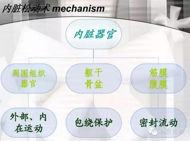 什么是关节松动术,内脏松动术手法