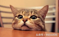 黑心母婴店卖奶粉事件,2019查出的进口婴儿奶粉有毒