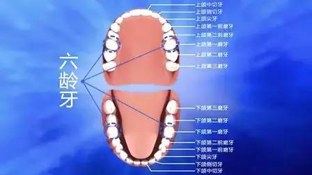 孩子天天刷牙竟然患龋齿怎么办,孩子每天都刷牙为什么还会有龋齿