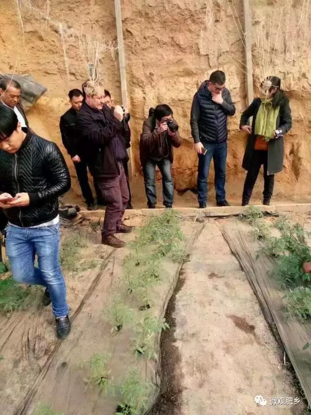 暖新闻*肥乡人喝上长江水，西班牙记者点赞肥乡健康扶贫等~