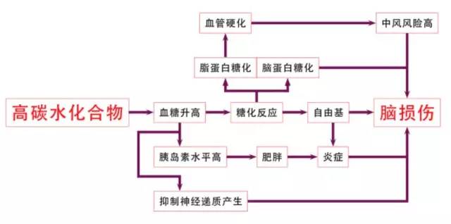 艺周荐｜揭秘《谷物大脑》养生宝典or科幻小说