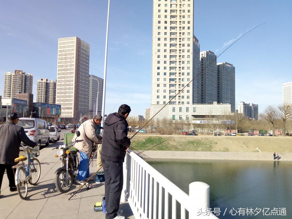 1600万全景摄像头,1600万前置摄像头好用吗