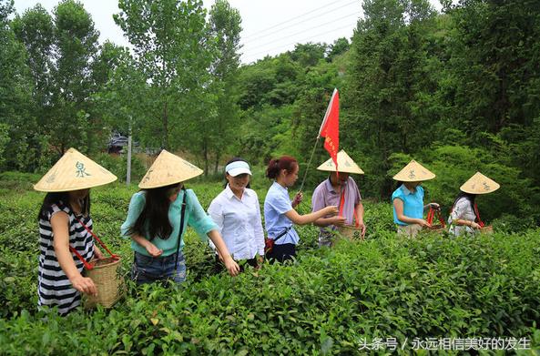 发现秦岭之美,发现陕西之美作文