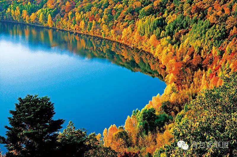 呼伦贝尔旅游攻略注意事项 (呼伦贝尔旅游攻略包车)