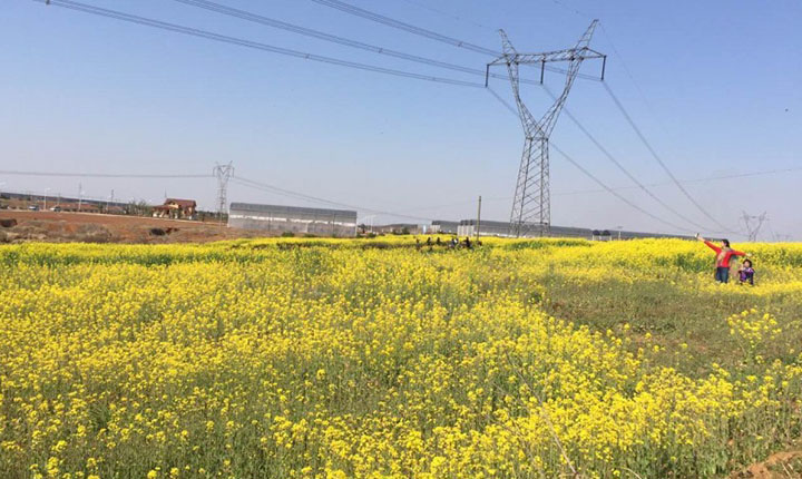 精选:武汉周边小众旅行地,田园生活美成诗!